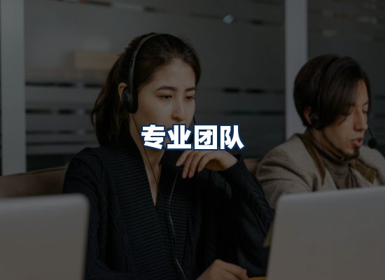 专业团队